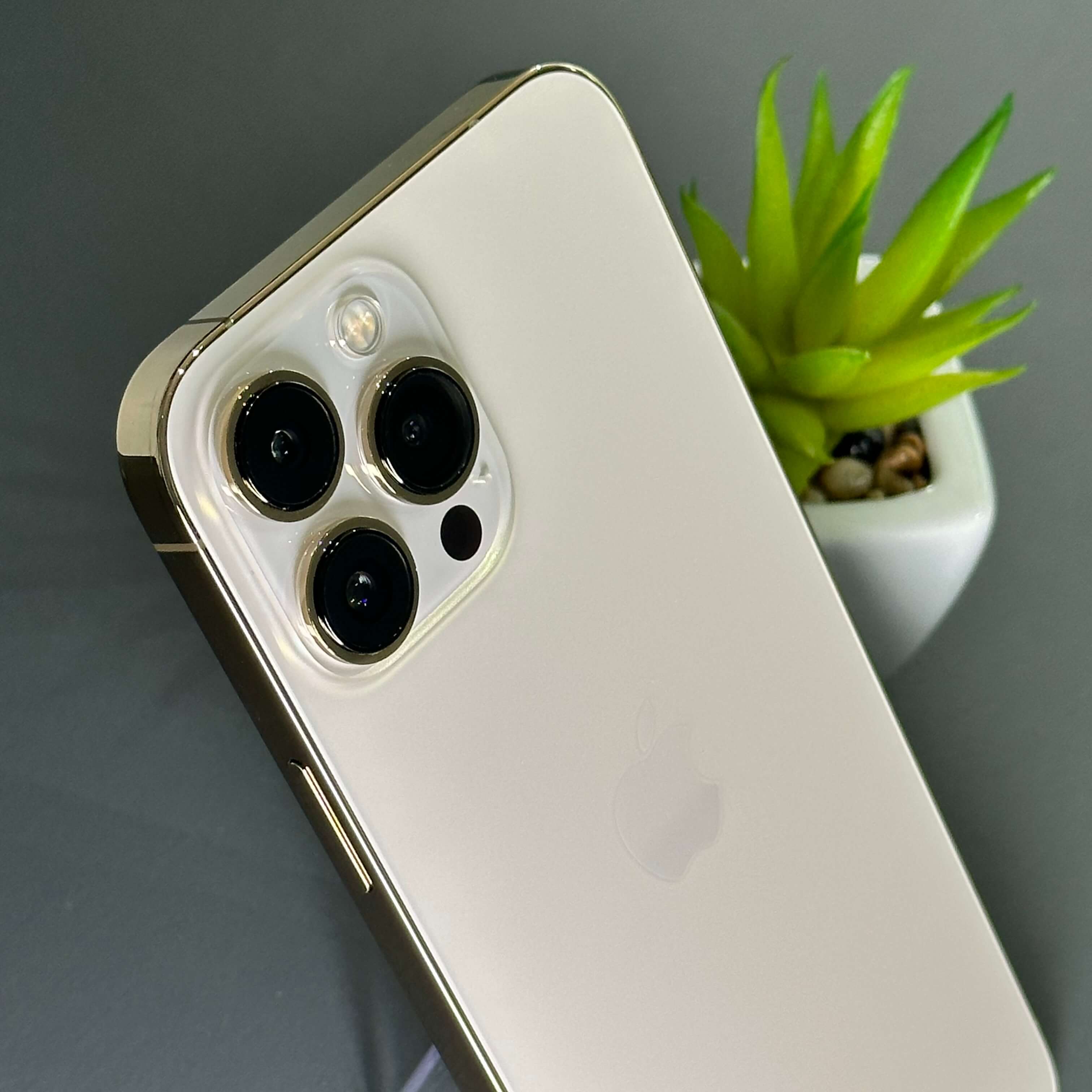 iPhone 13 Pro Max 256GB Dourado - Saúde de bateria: 🔋84% - Tela de 6.7" - (SEMINOVO) - Image 3