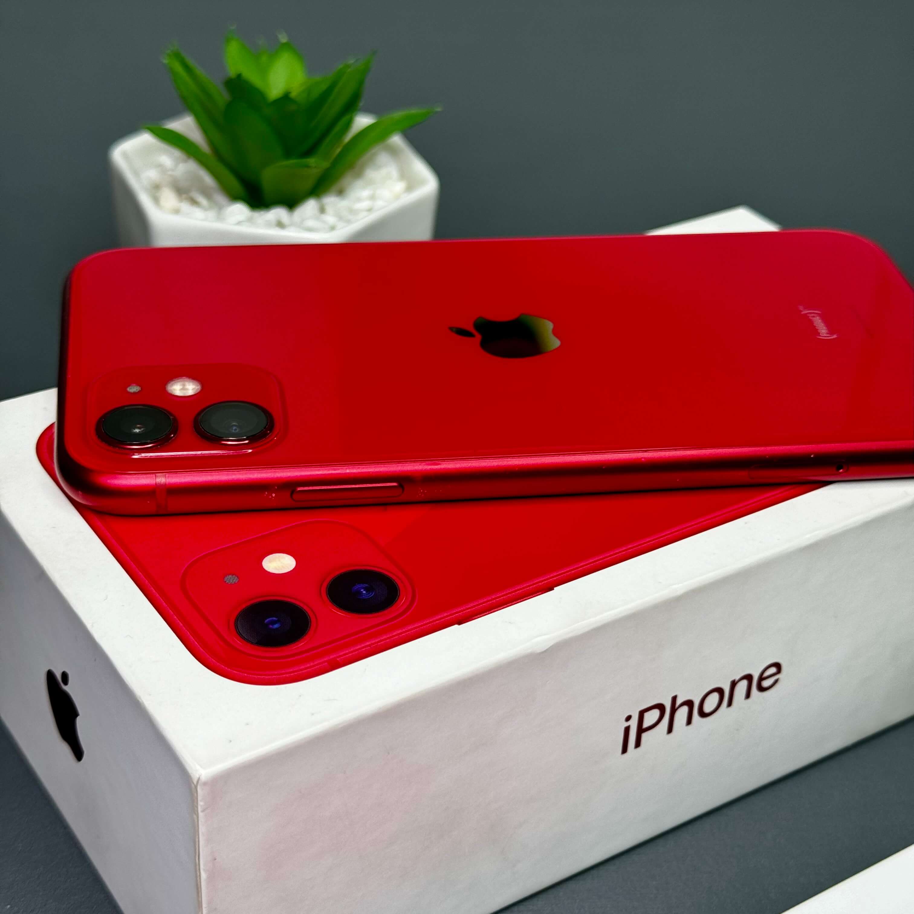 iPhone 11 64GB Vermelho - Saúde de bateria: 🔋100% - Tela de 6.1" - (SEMINOVO) - Image 5
