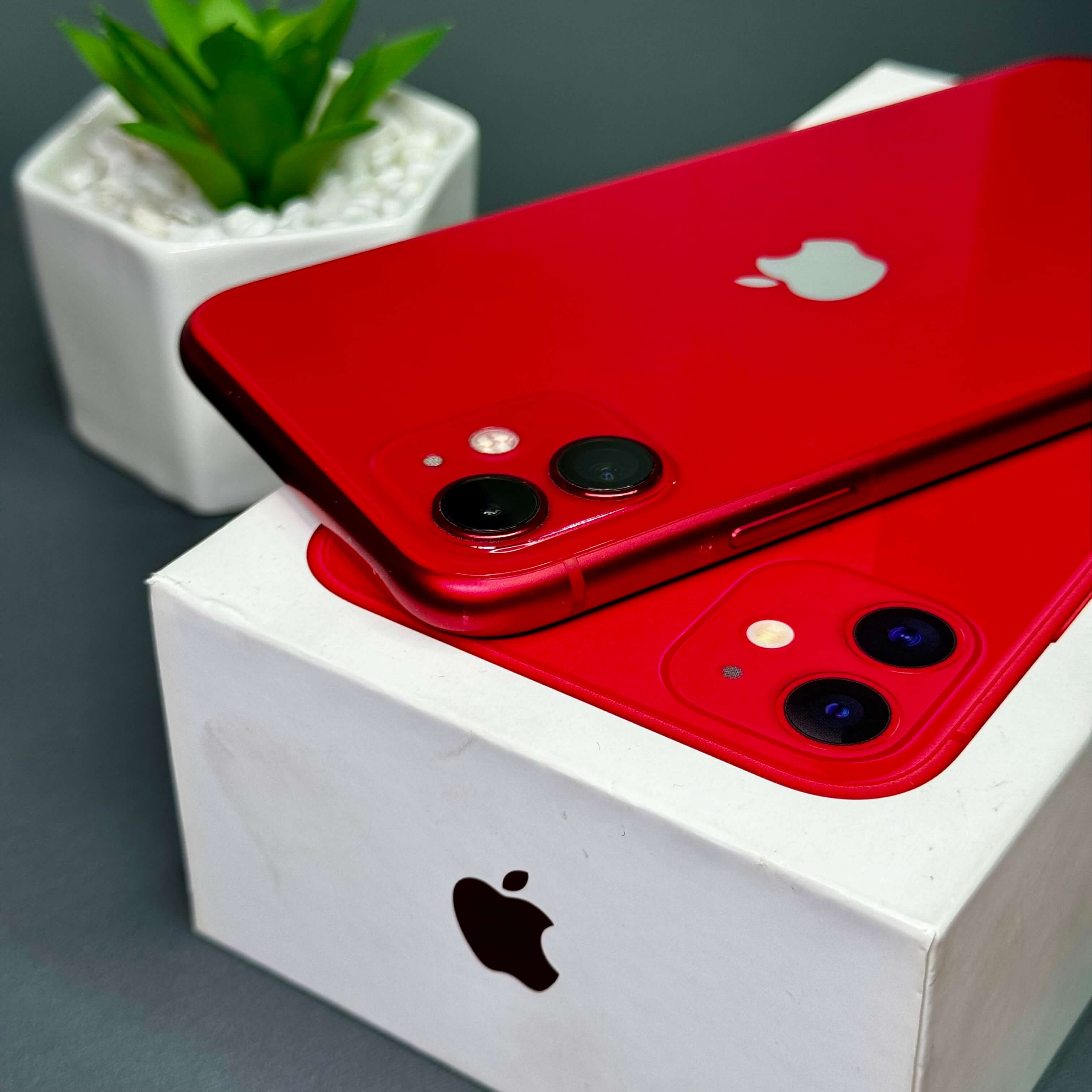 iPhone 11 64GB Vermelho - Saúde de bateria: 🔋100% - Tela de 6.1" - (SEMINOVO) - Image 6
